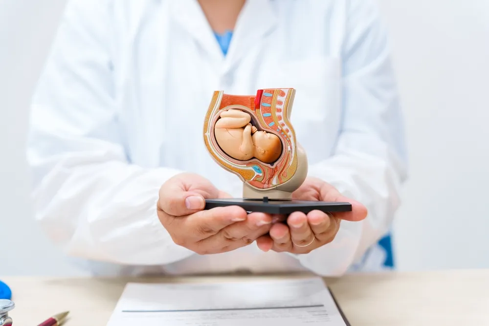 Embriyo Tutunmaması (İmplantasyon Başarısızlığı) Neden Olur?