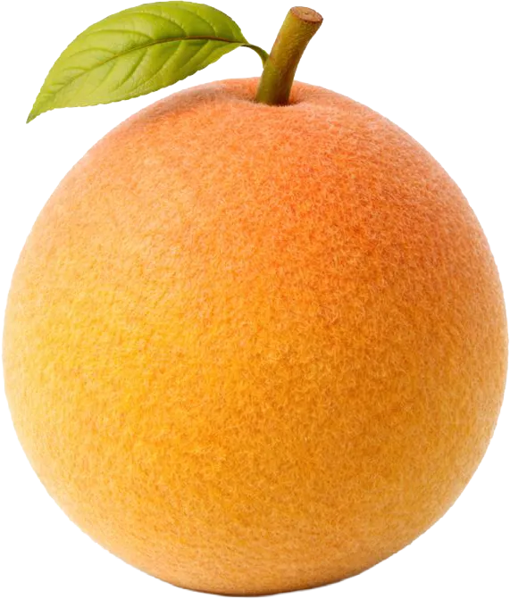 23 haftalık gebelikte bebek greyfurt büyüklüğünde