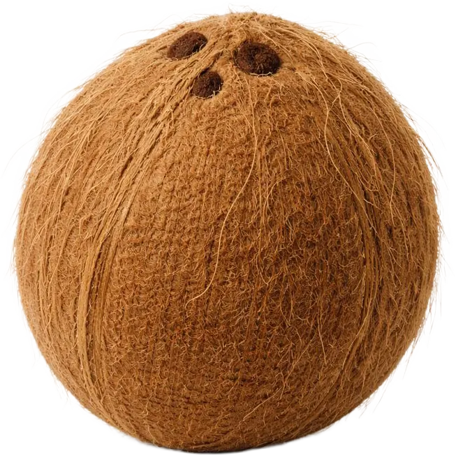 28 haftalık gebelikte bebek hindistan cevizi büyüklüğünde