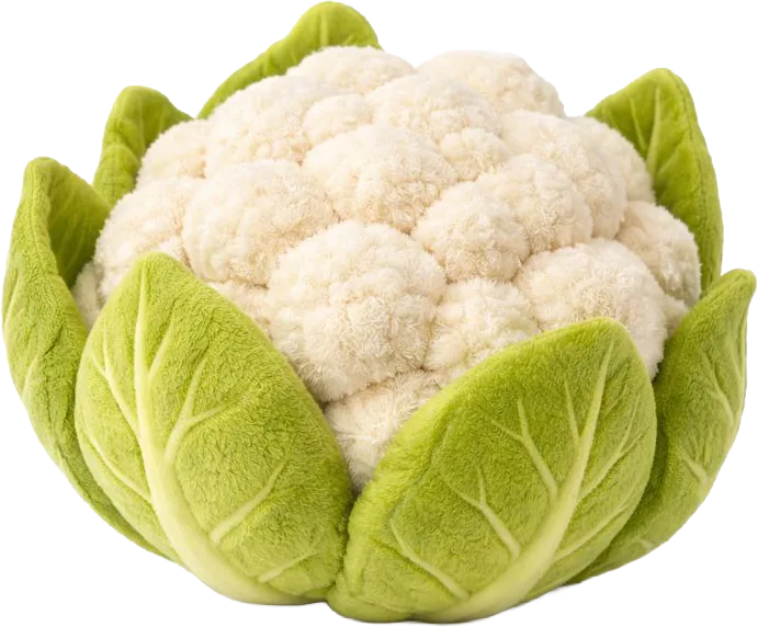 25 haftalık gebelikte bebek orta boy karnabahar büyüklüğünde