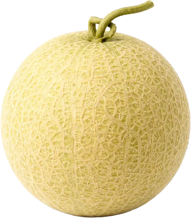 24 haftalık gebelikte bebek kavun büyüklüğünde