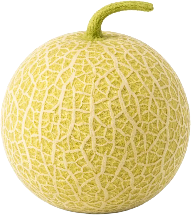 37 haftalık gebelikte bebek büyük bir kavun büyüklüğünde