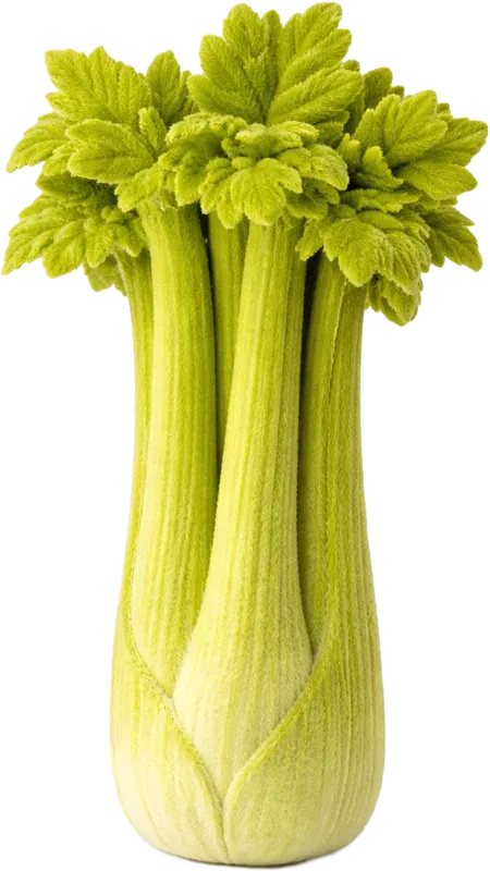 32 haftalık gebelikte bebek bir demet kereviz büyüklüğünde