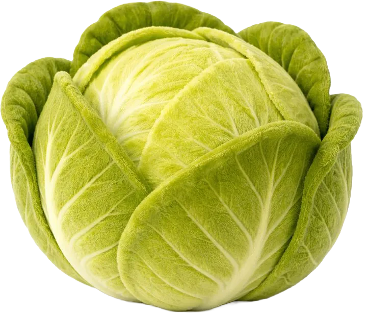 30 haftalık gebelikte bebek lahana büyüklüğünde