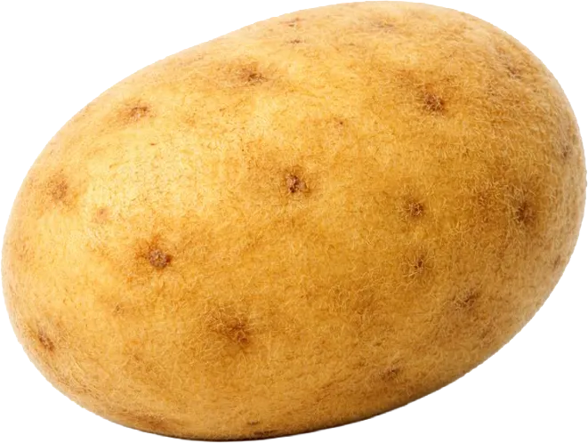 20 haftalık gebelikte bebek patates büyüklüğünde