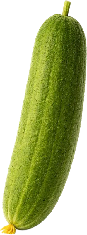 18 haftalık gebelikte bebek salatalık büyüklüğünde