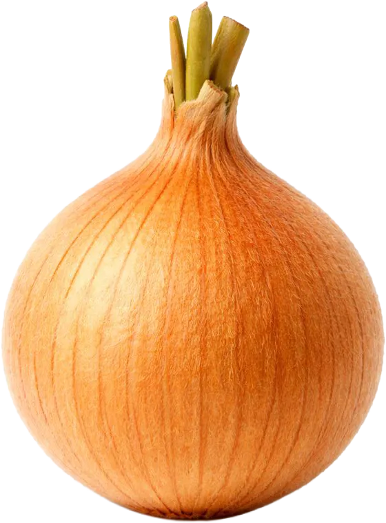 17 hafta gebelikte bebek soğan büyüklüğünde